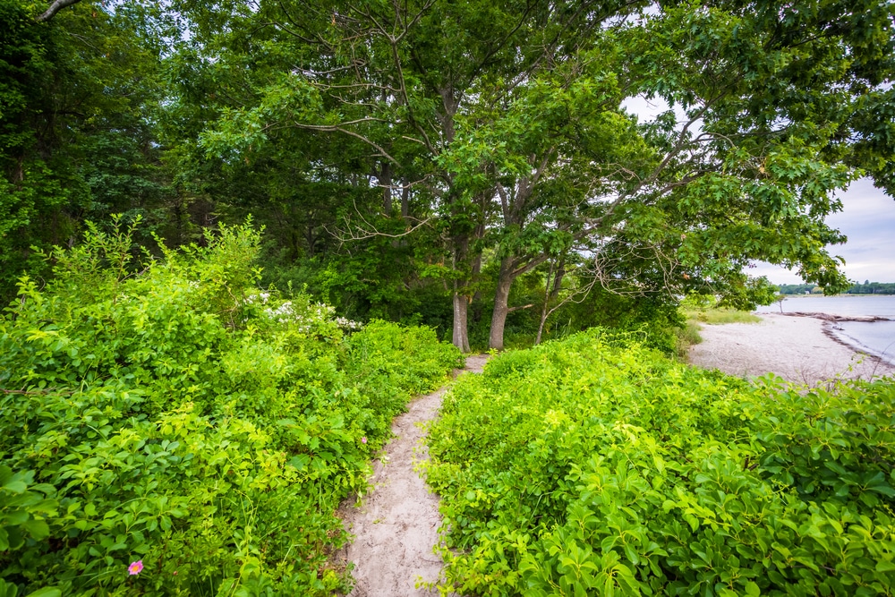 Trail to the beach at Odiorne State Park on the Seacoast of New Hampshire