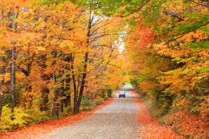 A scenic drive through foliage in New Hampshire in fall