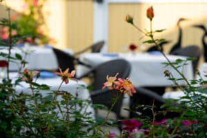 Outdoor dining at Ambrose, one of the best Exeter, NH Restaurants