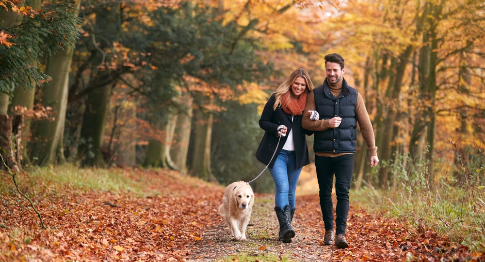 Couple walks through beautiful fall foliage with a dog, like what you'll encounter on the Swasey Parkway in Exeter, NH